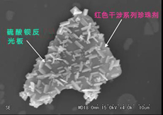 主要的乳化种类