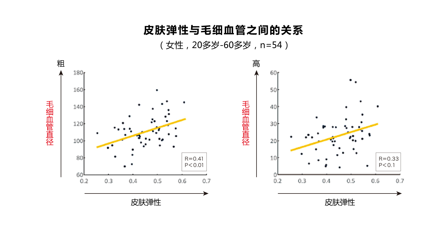 皮肤弹性与毛细血管之间的关系