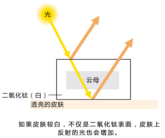 主要的乳化种类