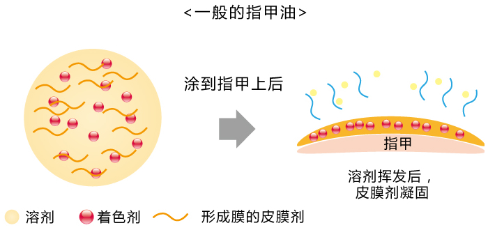 一般的指甲油